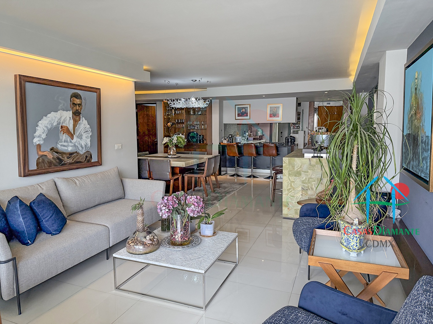 Polanco Departamento Arquímedes - Sala 5